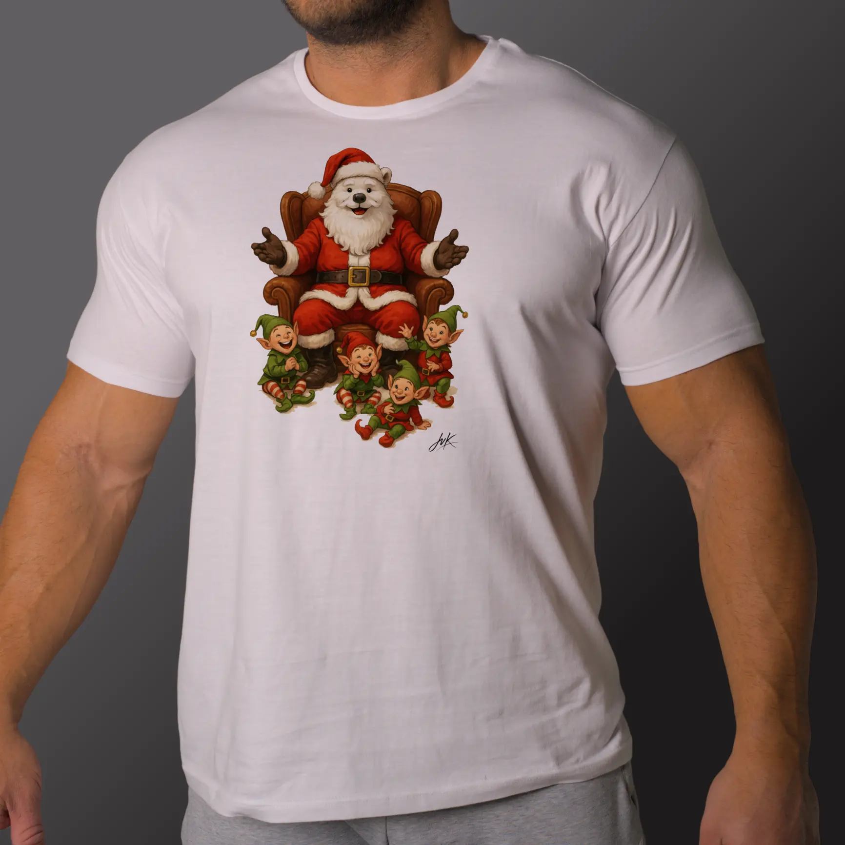 POLAR SANTA 2 - obrazek 2